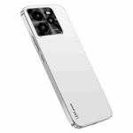 For Realme GT 7 Pro AG Frosted Electroplating Acrylic Phone Case(Silver White)