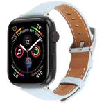 For Apple Watch 46mm / 49mm / 45mm / 44mm Silk Microfiber Leather Watch Band(Blue)