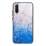 For Xiaomi Mi CC9 / A3 Lite Marble Pattern Glass Protective Case(DL07)