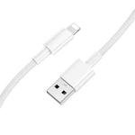 BOROFONE BX117 1m 2.4A USB to 8 Pin Source Charging Data Cable(White)
