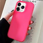 For iPhone 11 Pro Max Transparent Comfortable Frosted TPU Phone Case(Rose Red)