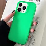 For iPhone 11 Pro Max Transparent Comfortable Frosted TPU Phone Case(Green)