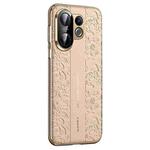 For vivo S30 Cloud Dragon Pattern Plain Leather PC Phone Case(Gold)