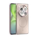 For vivo X200 Pro ABEEL Heat Dissipation Frosted MagSafe Phone Case with Lens Film(Rose Gold)