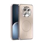 For Honor Magic7 ABEEL Heat Dissipation Frosted MagSafe Phone Case with Lens Film(Rose Gold)