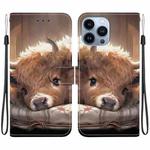 For iPhone 13 Pro Crystal Texture Colored Drawing Leather Phone Case(Calf)