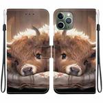 For iPhone 11 Pro Crystal Texture Colored Drawing Leather Phone Case(Calf)