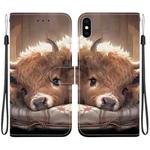 For iPhone XS Max Crystal Texture Colored Drawing Leather Phone Case(Calf)