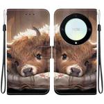 For Honor X9a Crystal Texture Colored Drawing Leather Phone Case(Calf)