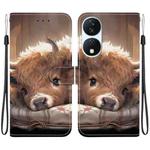 For Honor X7b / Play 50 Plus Crystal Texture Colored Drawing Leather Phone Case(Calf)
