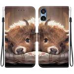 For Sony Xperia 5 V Crystal Texture Colored Drawing Leather Phone Case(Calf)