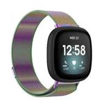 For Fitbit Versa 3 / Fitbit Sense Magnetic Milano Watch Band, Size:Large Size(Colorful)