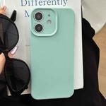 For iPhone 12 Precision Hole Camera Frame Solid Color Phone Case(Green)