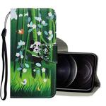 For iPhone 12 / 12 Pro Coloured Drawing Pattern Horizontal Flip PU Leather Case with Holder & Card Slots & Wallet & Lanyard(Panda)