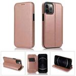 For iPhone 12 Pro Max Strong Magnetic Closure PU + TPU Leather Case with Card Slots & Holder(Rose Red)