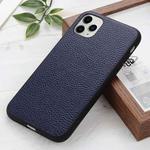 For iPhone 12 / 12 Pro Litchi Texture Genuine Leather Folding Protective Case(Blue)