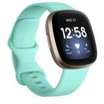 For Fitbit Versa 3 / Sense Silicone Watch Band, Size: S(Mint Green)