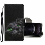 For iPhone 12 / 12 Pro Colored Drawing Pattern Horizontal Flip Leather Case with Holder & Card Slots & Wallet(Black Cat)