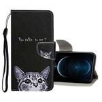 Colored Drawing Pattern Horizontal Flip Leather Case with Holder & Card Slots & Wallet For iPhone 12 Pro Max(Little Cat)