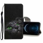 For iPhone 12 Pro Max Colored Drawing Pattern Horizontal Flip Leather Case with Holder & Card Slots & Wallet(Black Cat)