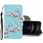 For iPhone 12 / 12 Pro 3D Colored Drawing Horizontal Flip PU Leather Case with Holder & Card Slots & Wallet(Magnolia)