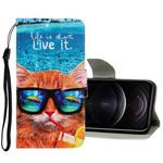 For iPhone 12 / 12 Pro 3D Colored Drawing Horizontal Flip PU Leather Case with Holder & Card Slots & Wallet(Underwater Cat)