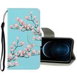 For iPhone 12 Pro Max 3D Colored Drawing Horizontal Flip PU Leather Case with Holder & Card Slots & Wallet(Magnolia)