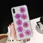 Daisy Pattern Real Dried Flowers Transparent Soft TPU Cover For iPhone 6 Plus & 6s Plus(Purple)