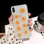 Daisy Pattern Real Dried Flowers Transparent Soft TPU Cover For iPhone 6 & 6s(Yellow)