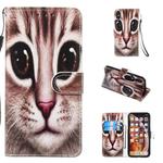 For iPhone X / XS Leather Protective Case(Coffee Cat)