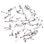 100 PCS Charging Port Screws for iPhone 11 / 11 Pro / 11 Pro Max(White)