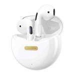 WK V52 Wireless Stereo Bluetooth 5.1 Earphone