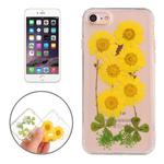 For iPhone 6 & 6s Epoxy Dripping Pressed Real Dried Flower Soft Transparent TPU Protective Case