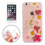 For iPhone 6 Plus & 6s Plus Epoxy Dripping Pressed Real Dried Flower Soft Transparent TPU Protective Case