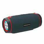 HOPESTAR H45 PARTY Portable Outdoor Waterproof Bluetooth Speaker, Support Hands-free Call & U Disk & TF Card & 3.5mm AUX & FM (Blue)