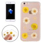 For  iPhone 8 & 7  Epoxy Dripping Pressed Real Dried Flower Soft Transparent TPU Protective Case