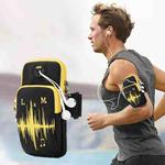 Universal 6.2 inch or Under Phone Zipper Double Bag Multi-functional Sport Arm Case with Earphone Hole, For iPhone, Samsung, Sony, Oneplus, Xiaomi, Huawei, Meizu, Lenovo, ASUS, Cubot, Ulefone, Letv, DOOGEE, Vkworld, and other Smartphones(Black)