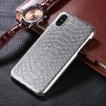 For iPhone X / XS Snake Skin Texture Paste Protective Back Cover Case(Silver)