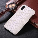 For iPhone X / XS Snake Skin Texture Paste Protective Back Cover Case(White)