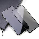 REMAX For iPhone X Caesar Series Anti-spy Tempered Glass Protective Film (Black)