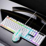 D500 RGB Brilliant Backlight Mouse and Keyboard Set (White)