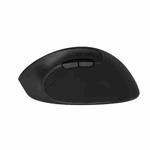 DELUX M618SE Ergonomic Vertical Wireless Mouse 1600DPI Optical Mouse(Black)