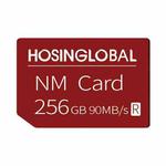 HOSINGLOBAL 90MB/s 256GB NM Card