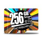 MicroDrive Car Data Recorder Traffic Recorder Storage Card Memory Card, Capacity: 256GB