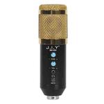 BM-858 Large-diaphragm Condenser Microphone Set (Gold)