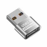 USB 2.0 Male to Female Type-C Adapter (Silver)