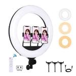 PULUZ 18 inch 46cm Curved Surface USB 3 Modes Dimmable White Light LED Ring Vlogging Photography Video Lights with Remote Control & 3 x Phone Clamps(US Plug)