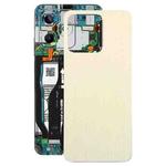 For Realme C53 4G RMX3760 Back Cover(Gold)