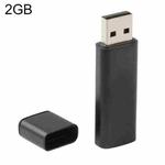 Business Series USB 2.0 Flash Disk, Black (2GB)