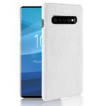 Shockproof Crocodile Texture PC + PU Case for Galaxy S10 5G (White)